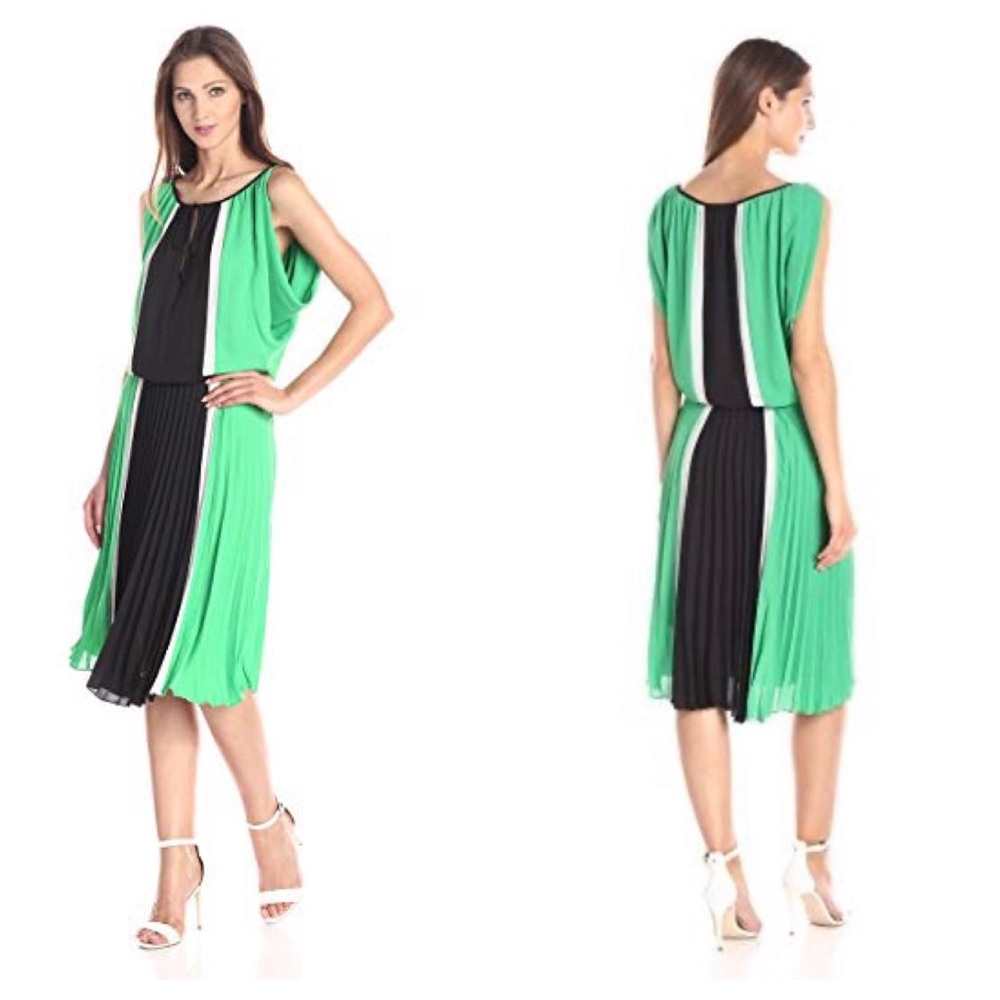 BCBG IONA Green, White, &  Blk Pleated Dress 
Sz M